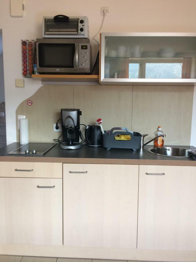 Ferienwohnung Frieser Steindorf am Ossiacher See Dış mekan fotoğraf