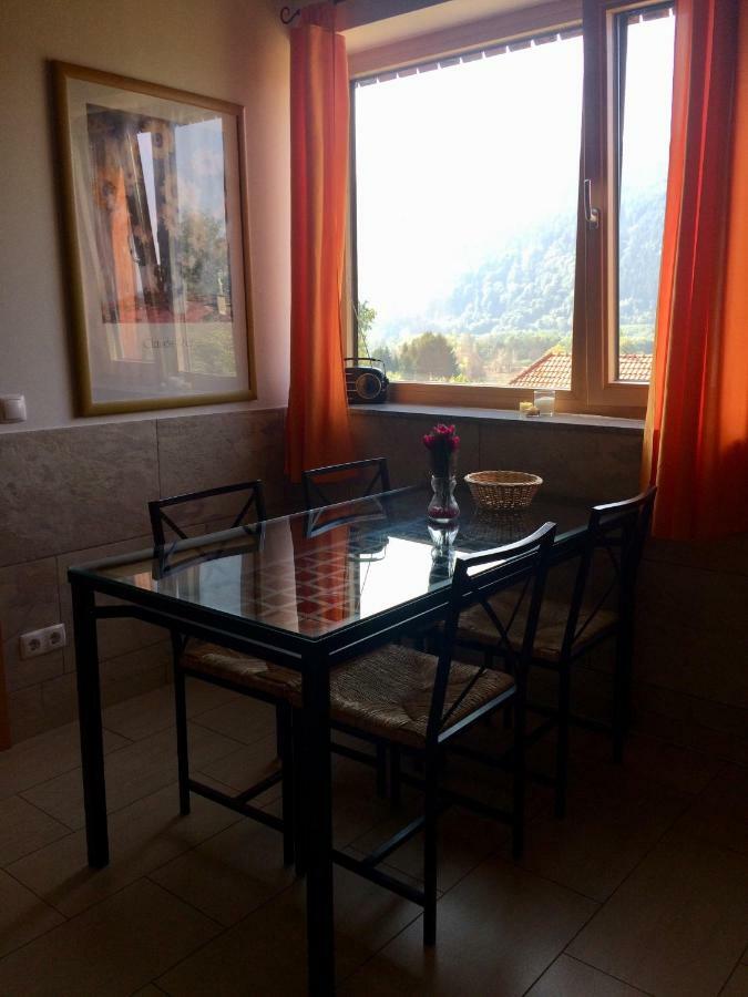 Ferienwohnung Frieser Steindorf am Ossiacher See Dış mekan fotoğraf